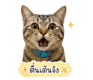 855151179