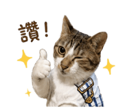 855153799