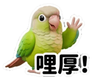 855154554