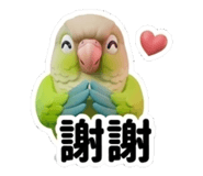 855154559
