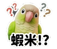 855154561