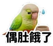 855154564