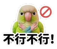 855154567