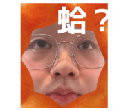 855154646