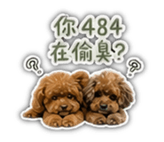855155611