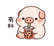 855156334