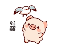 855156345