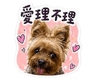 855157627