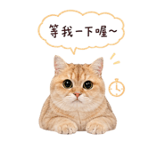 855158102