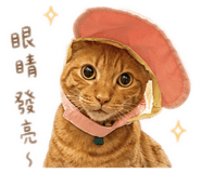 855159522