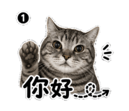 855163385