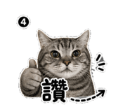 855163388