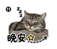 855163395