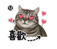 855163396