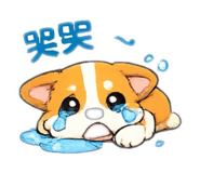 855163402