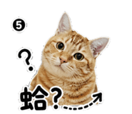 855163637