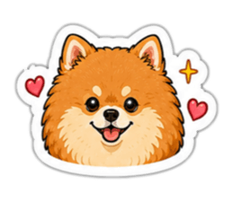 855163707