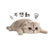 855165000