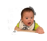 855166260