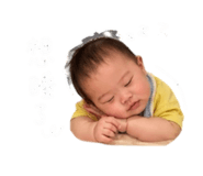 855166261