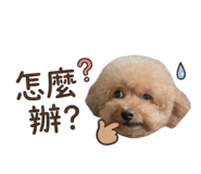 855170204