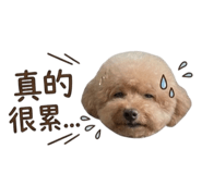 855170208