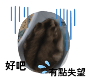 855181736