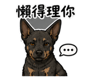 855183406