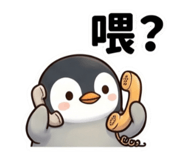 855185660