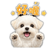 855187382