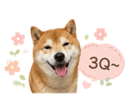 855187659