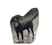 855189211