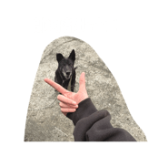 855189214