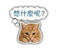 855192024