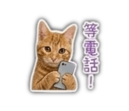 855192026