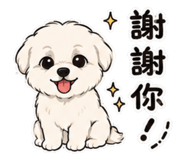 855193623