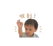 855194529