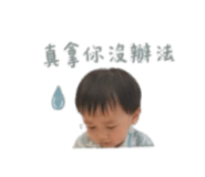 855194531