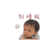 855194532
