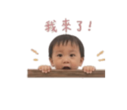 855194533