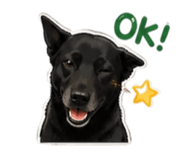 855194608