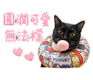 855199090