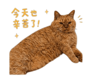 855201365
