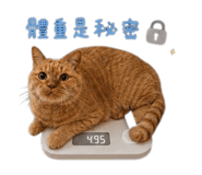 855201368