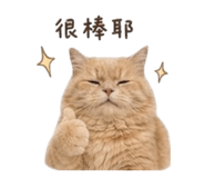 855201585