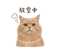 855201587