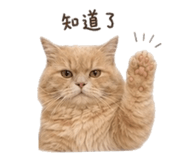 855201593