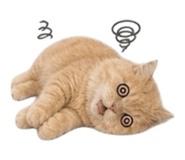 855201597