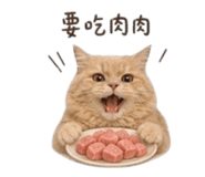 855201599