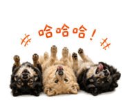 855201634